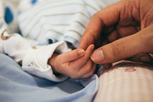 Tabletop Tycoon Hiring benefits Paid parental leave